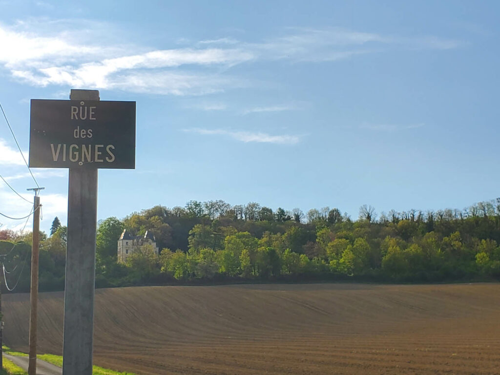 3 : rue des vignes